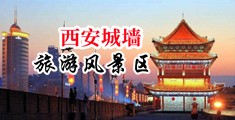巨大的黑鸡巴操骚逼视频中国陕西-西安城墙旅游风景区
